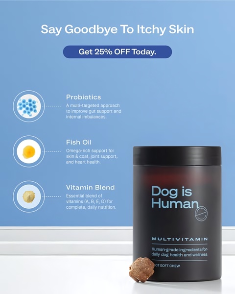 A structured, clean advertisement featuring a dog multivitamin jar alongside clear, icon-backed callouts for key health benefits.